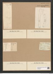 Diatomeae indet. Zeichnungen Sammlung Grunow Nr. 6601 (NHMW-BOT-W0375354)